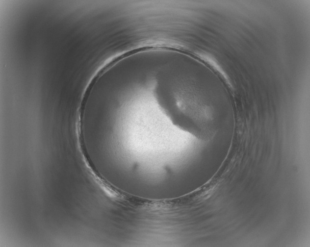 X0000075861040200609291543