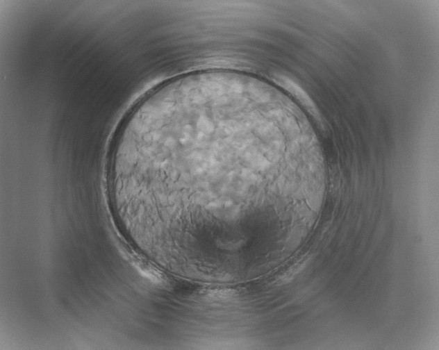 X0000075861043200609291543