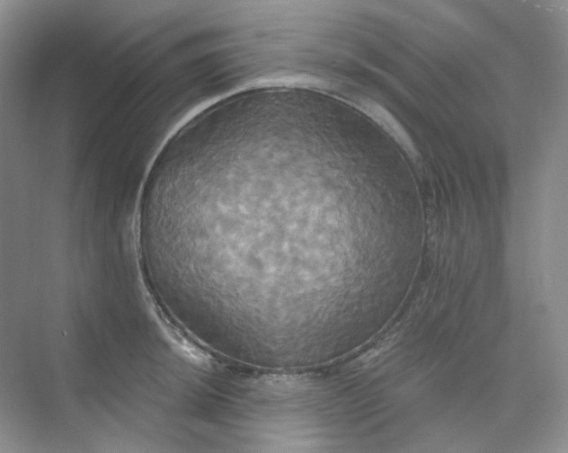 X0000075861044200609291543