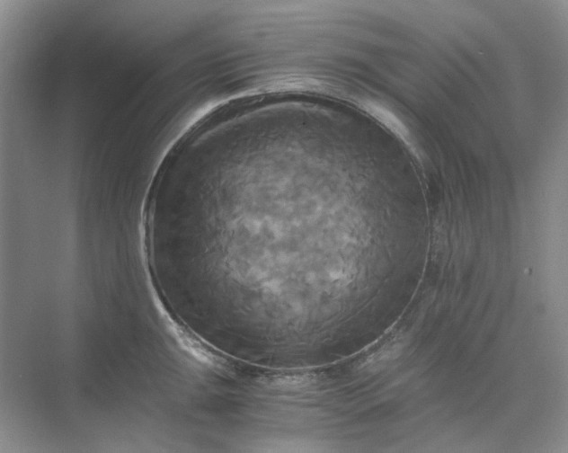 X0000075861047200609291543