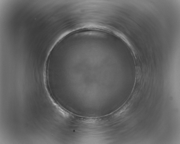 X0000075861048200609291543