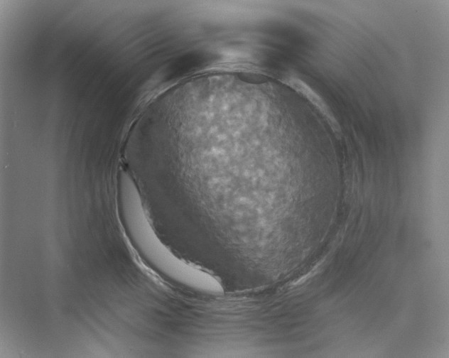 X0000075861049200609291543