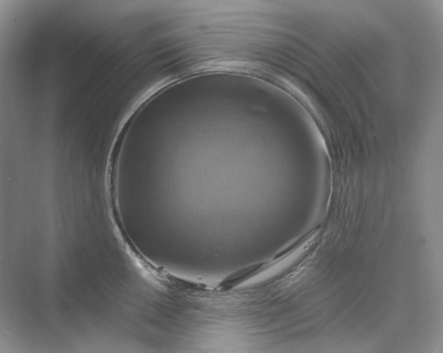 X0000075861050200609291543