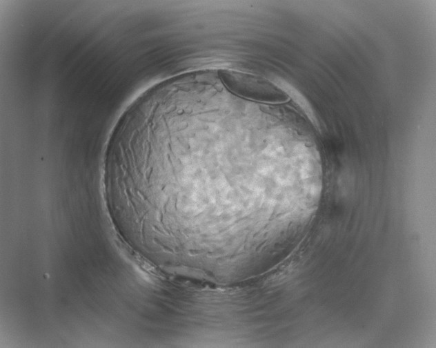 X0000075861051200609291543