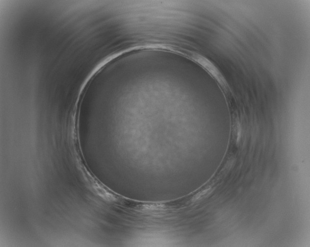 X0000075861052200609291543