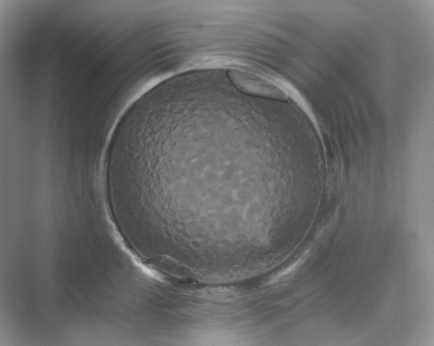 X0000075861053200609291543