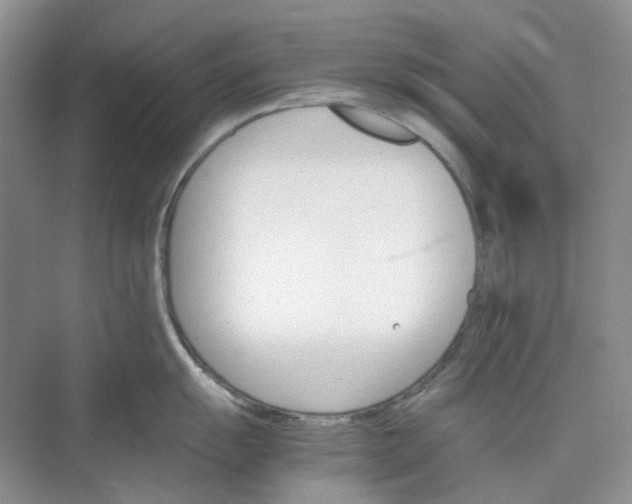 X0000075861055200609291543