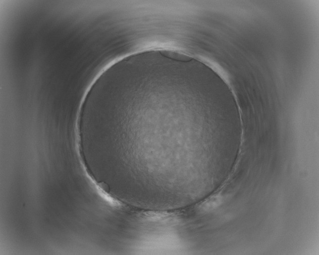 X0000075861056200609291543