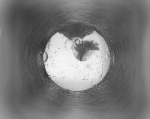 X0000075861059200609291542