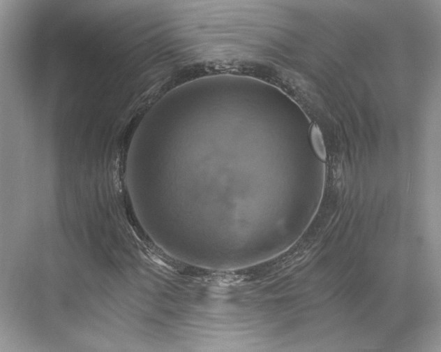 X0000075861060200609291542