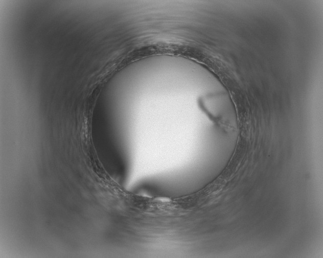 X0000075861061200609291542