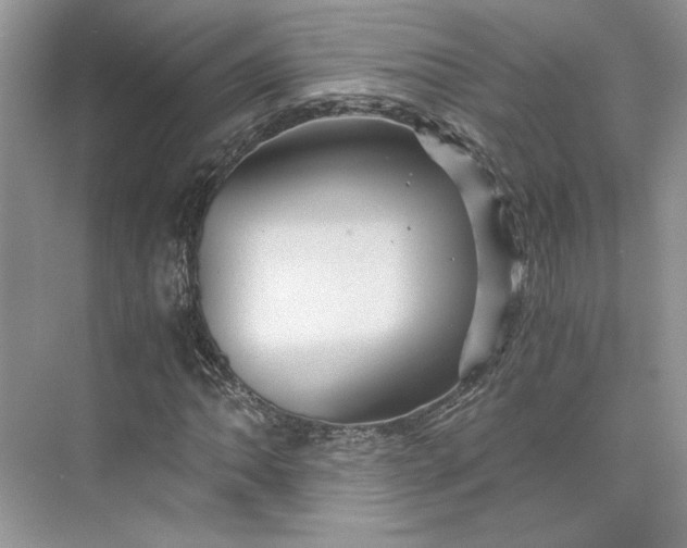 X0000075861062200609291542