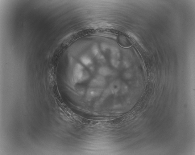 X0000075861063200609291542