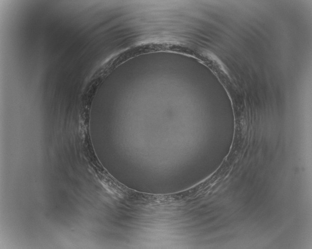 X0000075861064200609291542