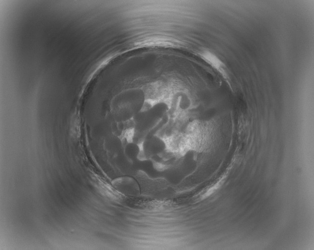 X0000075861067200609291542