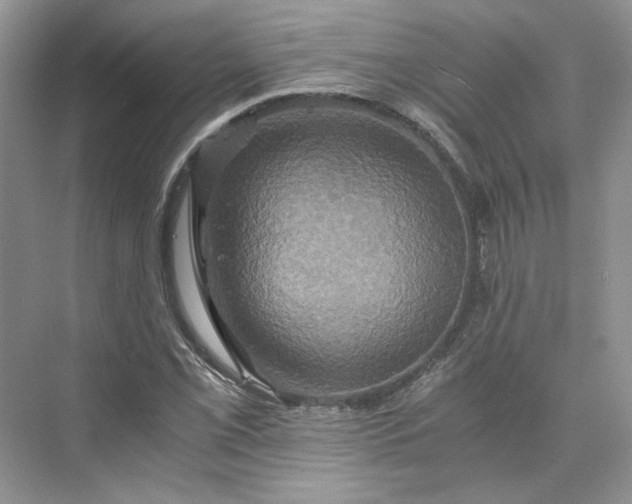 X0000075861069200609291542