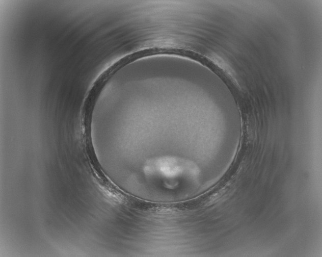 X0000075861070200609291542