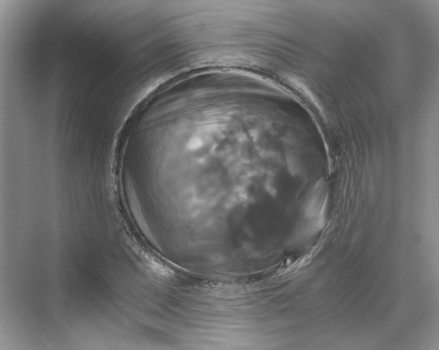 X0000075861071200609291542