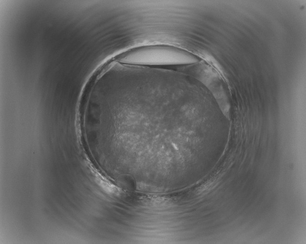 X0000075861072200609291542