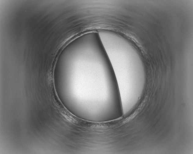 X0000075861073200609291542