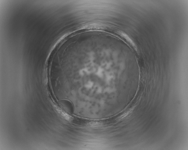 X0000075861075200609291542