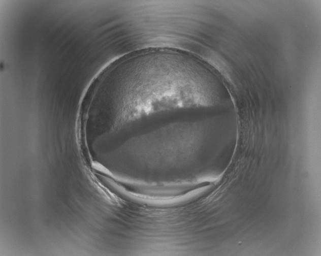 X0000075861076200609291542