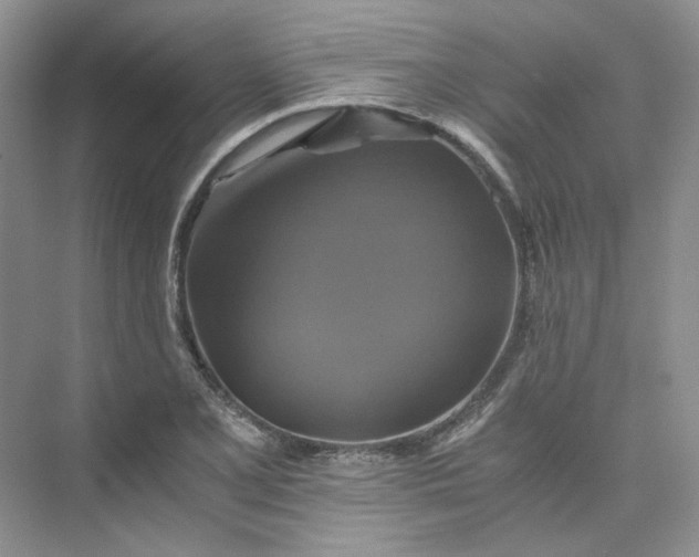 X0000075861077200609291542