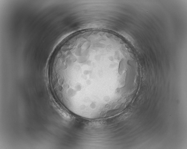 X0000075861078200609291542