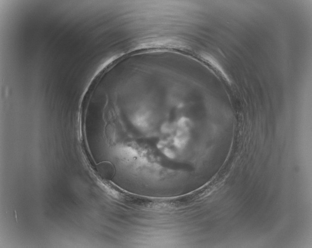 X0000075861079200609291542