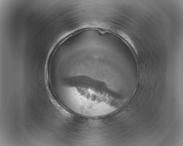 X0000075861080200609291542