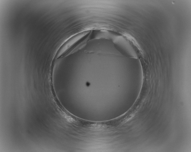 X0000075861081200609291542