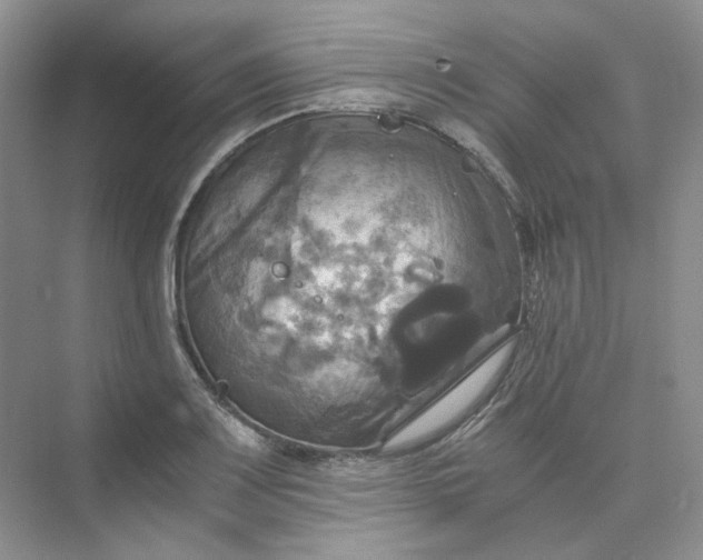 X0000075861083200609291542