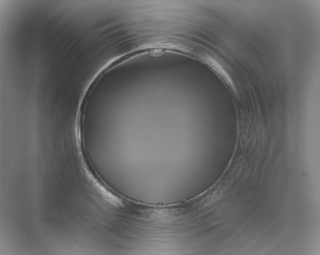 X0000075861084200609291542