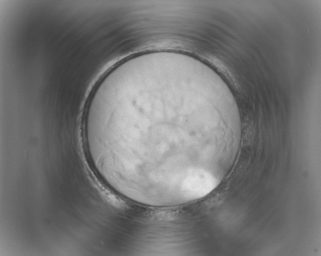 X0000075861086200609291542