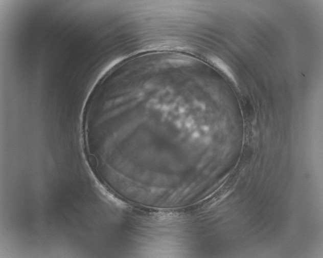 X0000075861087200609291542