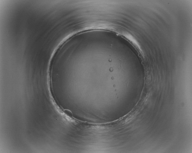 X0000075861088200609291542