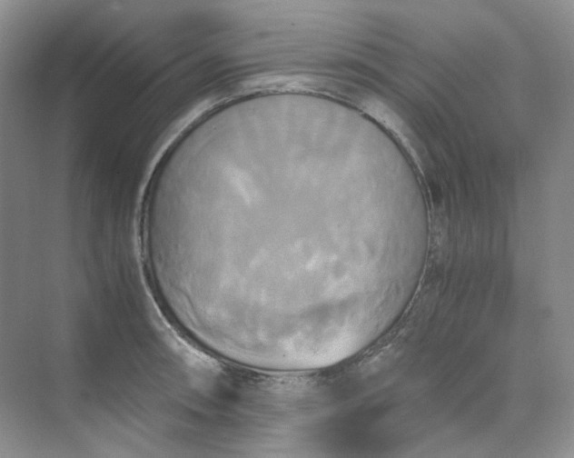 X0000075861090200609291541