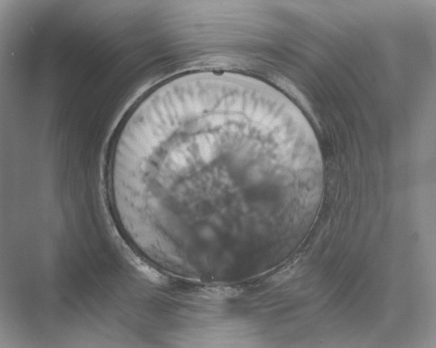 X0000075861091200609291541