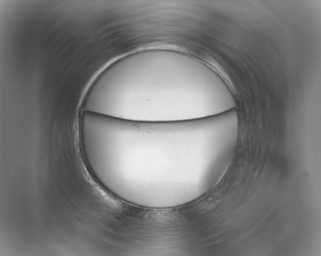 X0000075861092200609291541