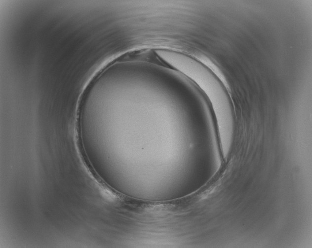 X0000075861093200609291541