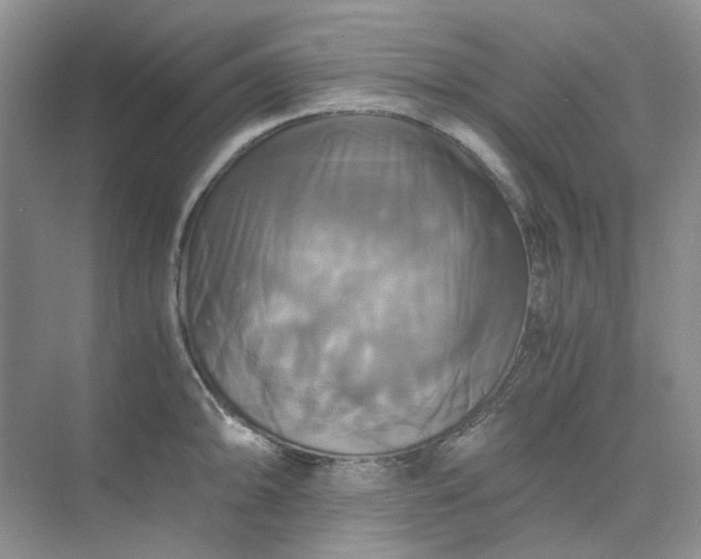 X0000075861094200609291541