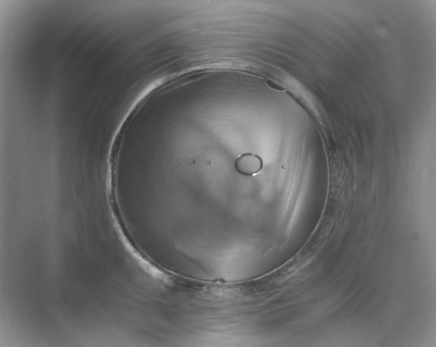 X0000075861095200609291541