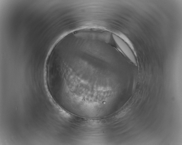 X0000075861096200609291541