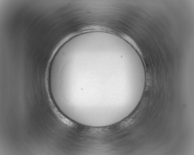 X0000075861098200609291541