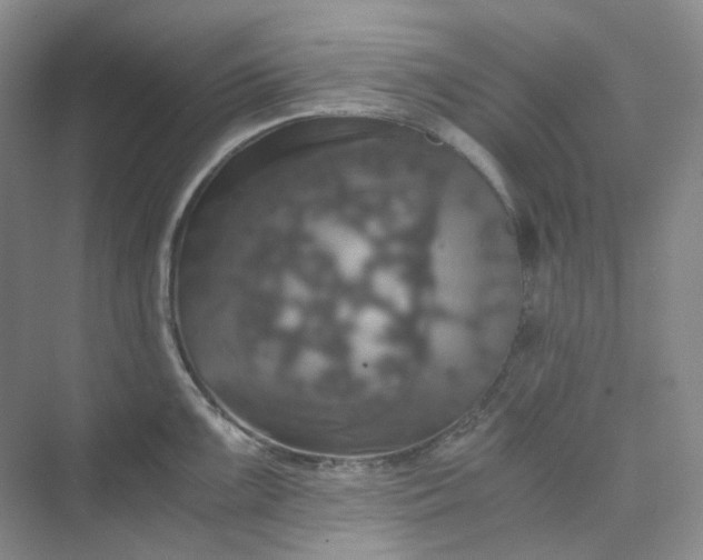 X0000075861099200609291541