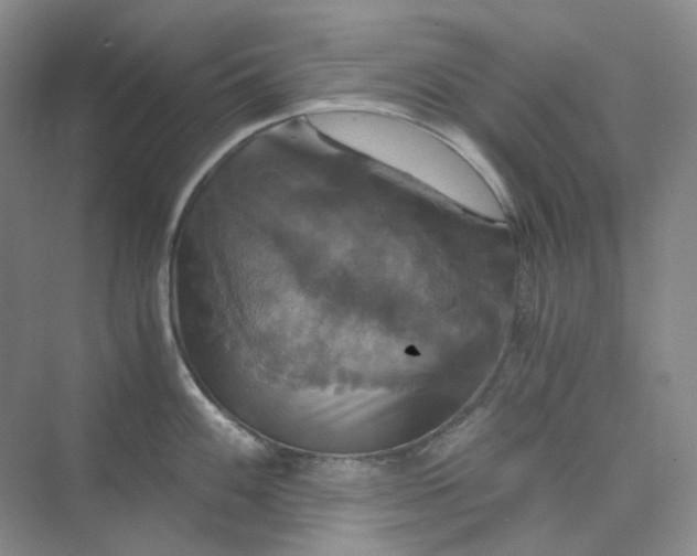 X0000075861100200609291541