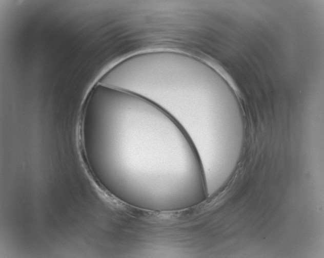 X0000075861101200609291541