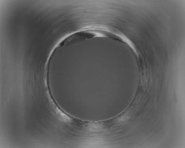 X0000075861102200609291541