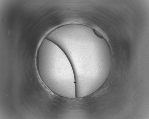 X0000075861104200609291541