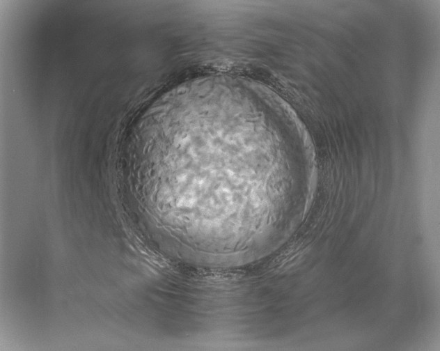 X0000075861105200609291540